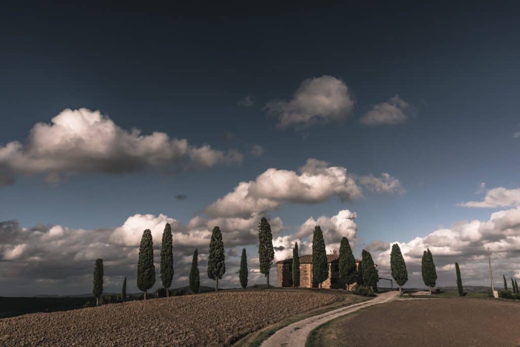 The Dirt Roads of Tuscany 2 The Dirt Roads of Tuscany - Montalcino Wine Tours