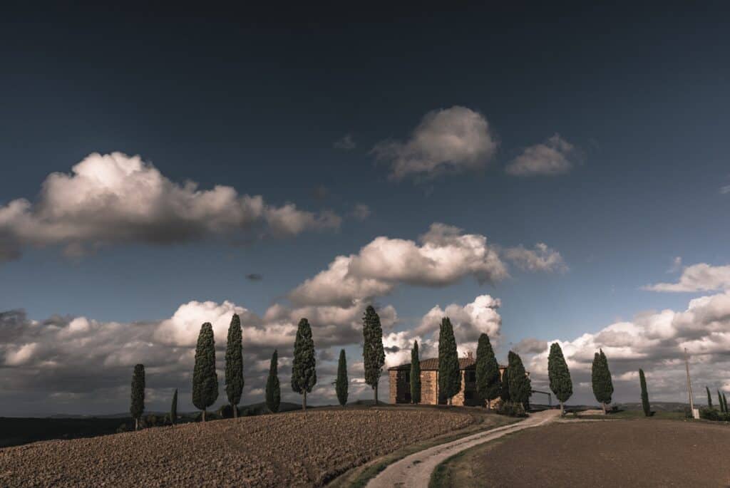 The Dirt Roads of Tuscany - Montalcino Wine Tours