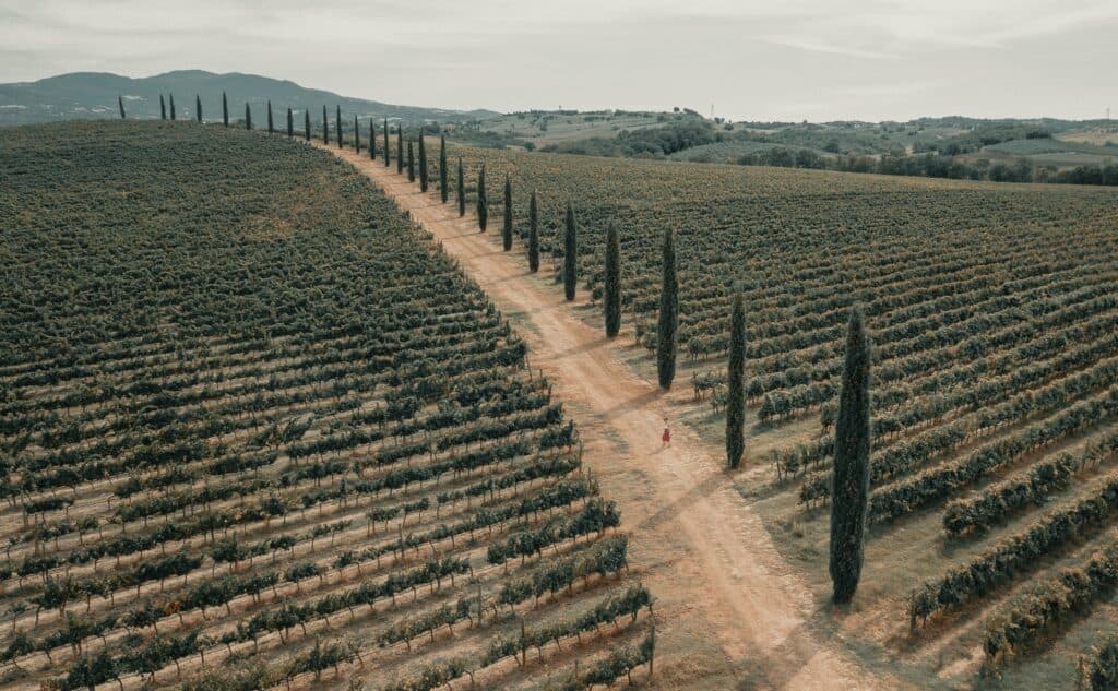 The Dirt Roads of Tuscany