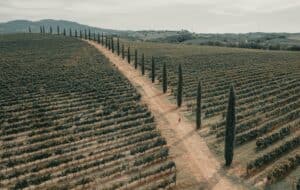 The Dirt Roads of Tuscany