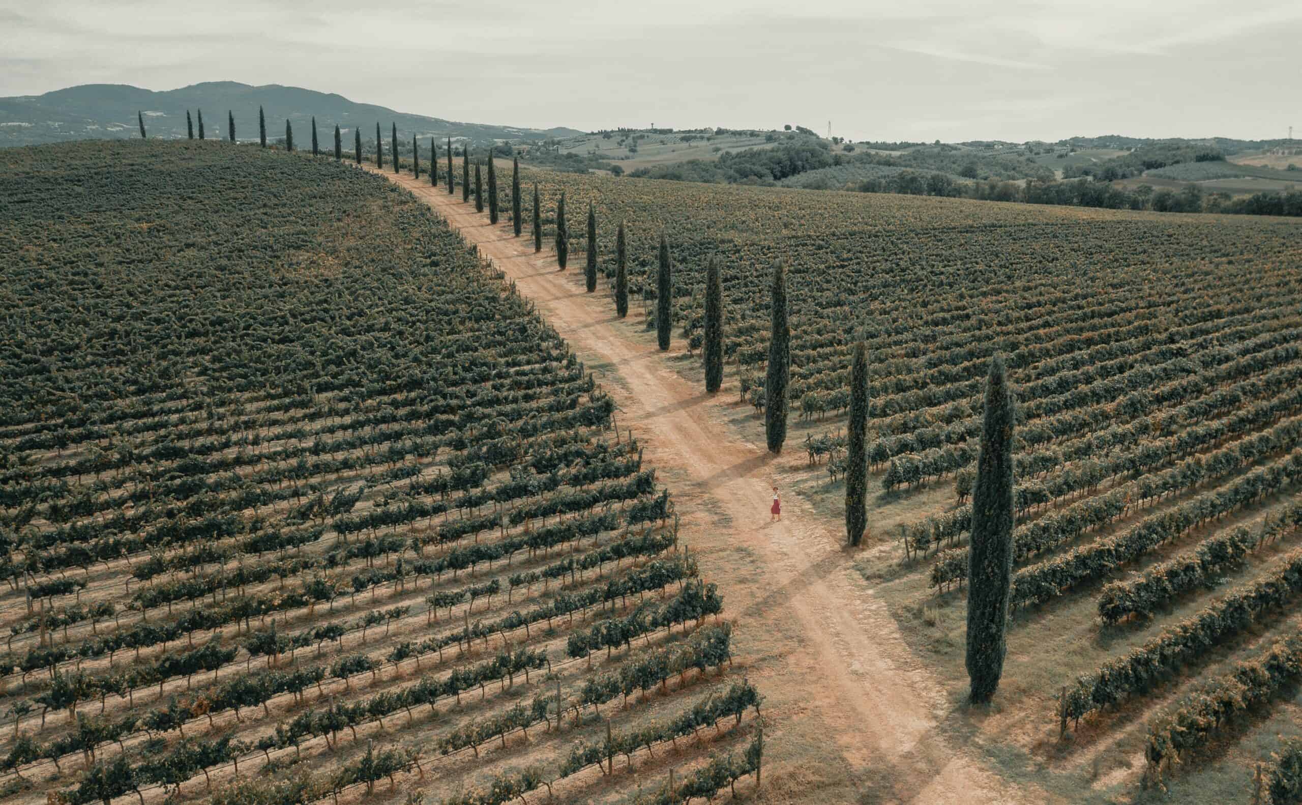 The Dirt Roads of Tuscany - Montalcino Wine Tours