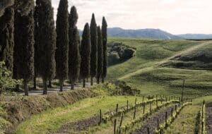 tour enogastronomico val d'orcia