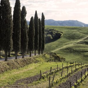 The Brunello Gourmet Trekking