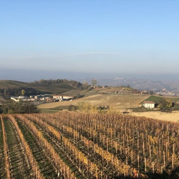 Barolo vineyards and farms