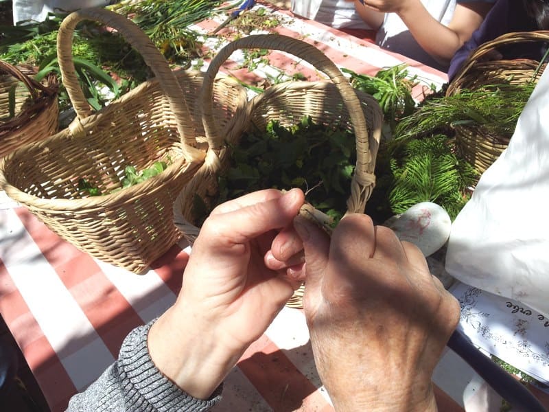 cleaning edible wild herbs