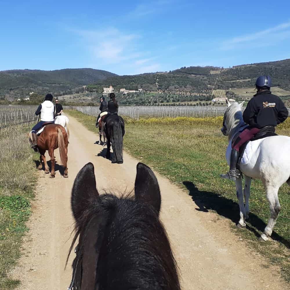 tourists riding horses in tuscany