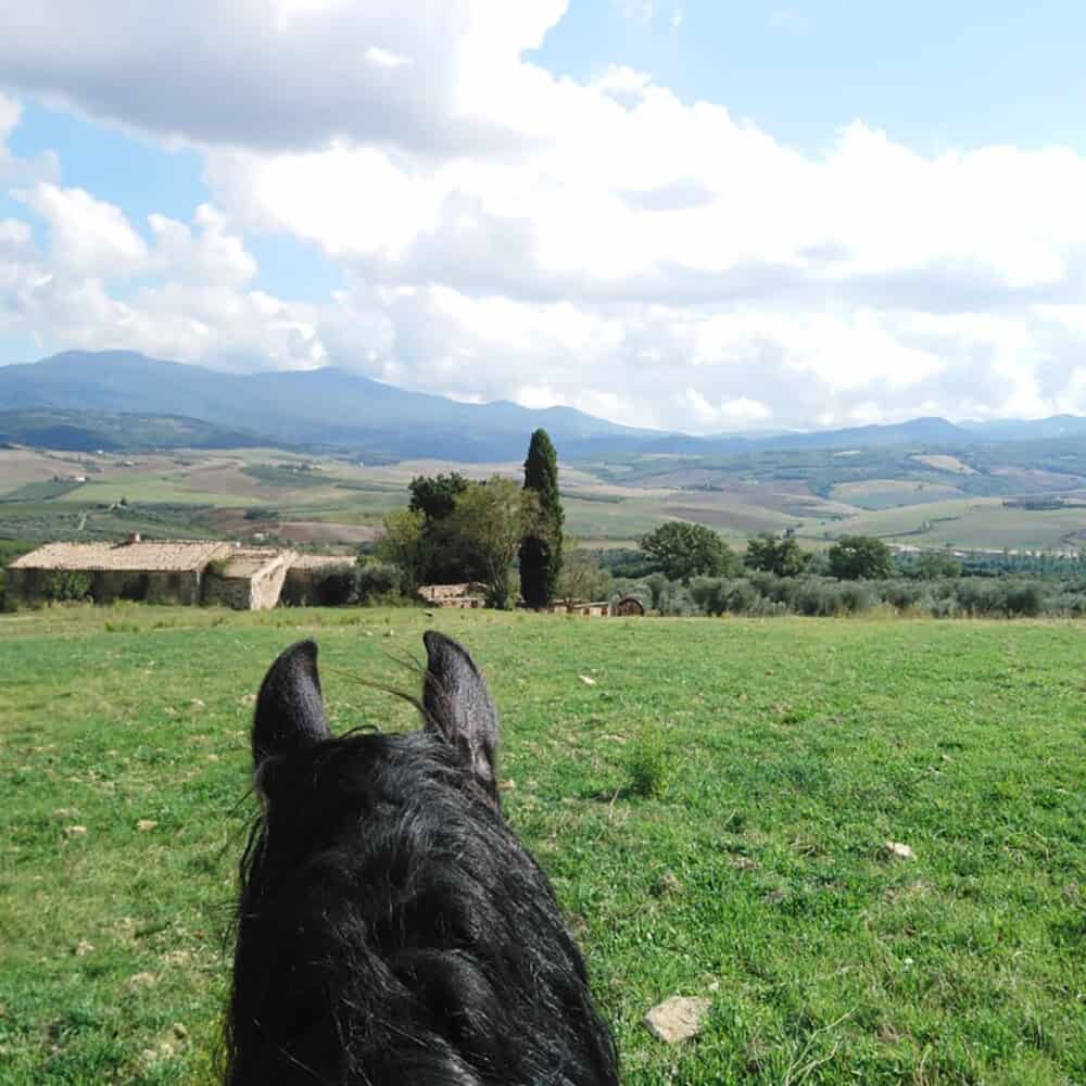 horseback riding Montalcino Tuscany