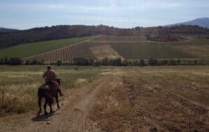 riding wine tour