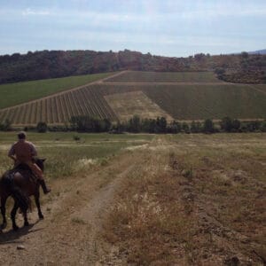 Horseback Riding & Lessons