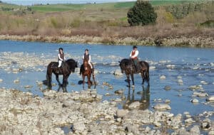 tour enogastronomico val d'orcia