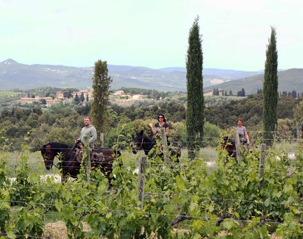 An horseback riding tour in Montalcino