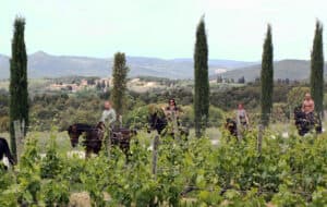 montalcino wine tour from florence