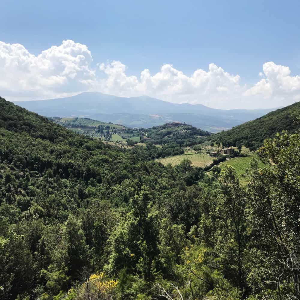 The trekking tour from Montalcino to Sant'Antimo