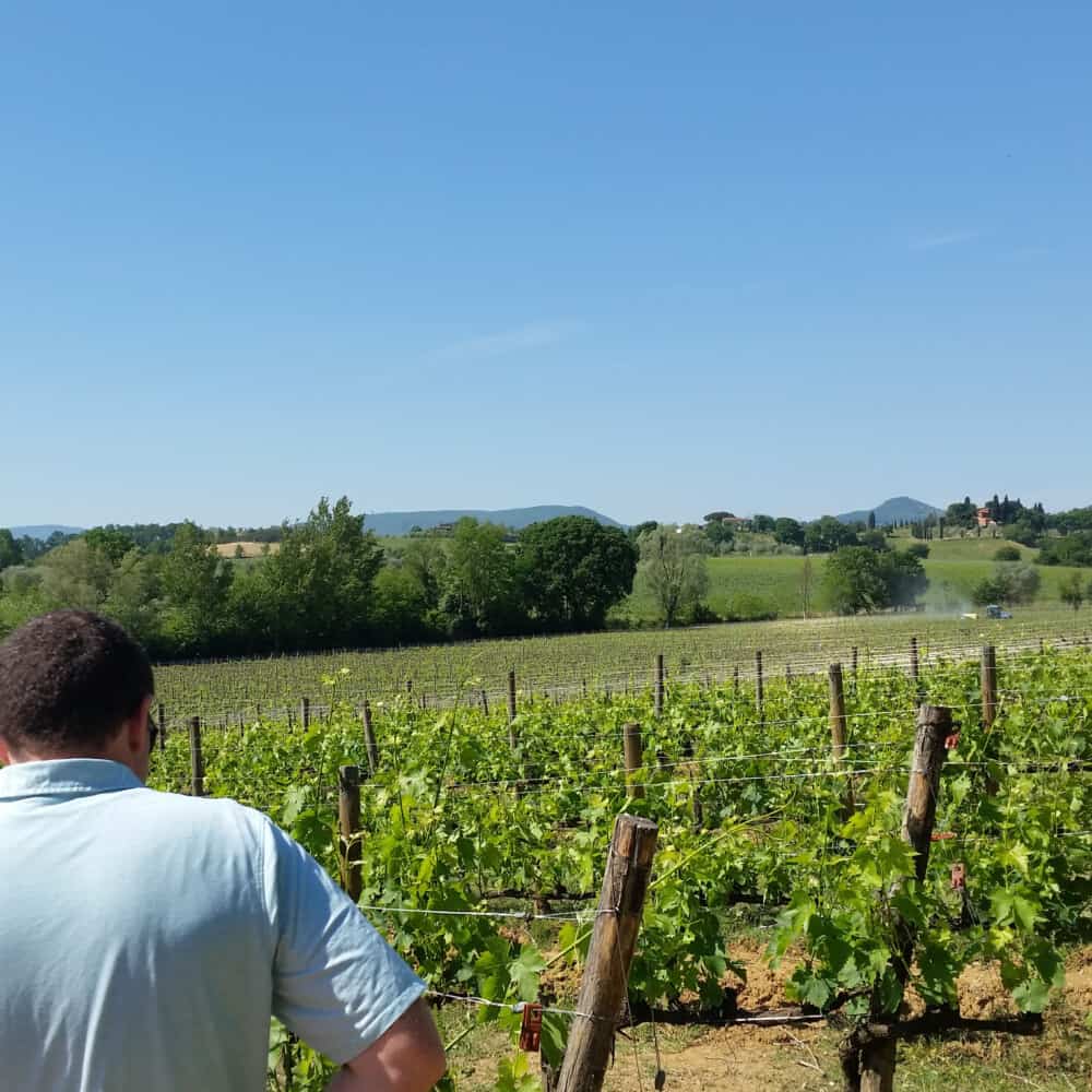 Montepulciano Wine Tours