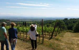 tour enogastronomico val d'orcia