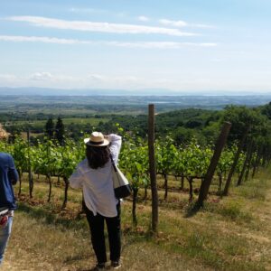 Pienza and Montepulciano Cheese and Wine Tour