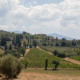 tour enogastronomico val d'orcia