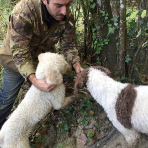 Truffle Hunting