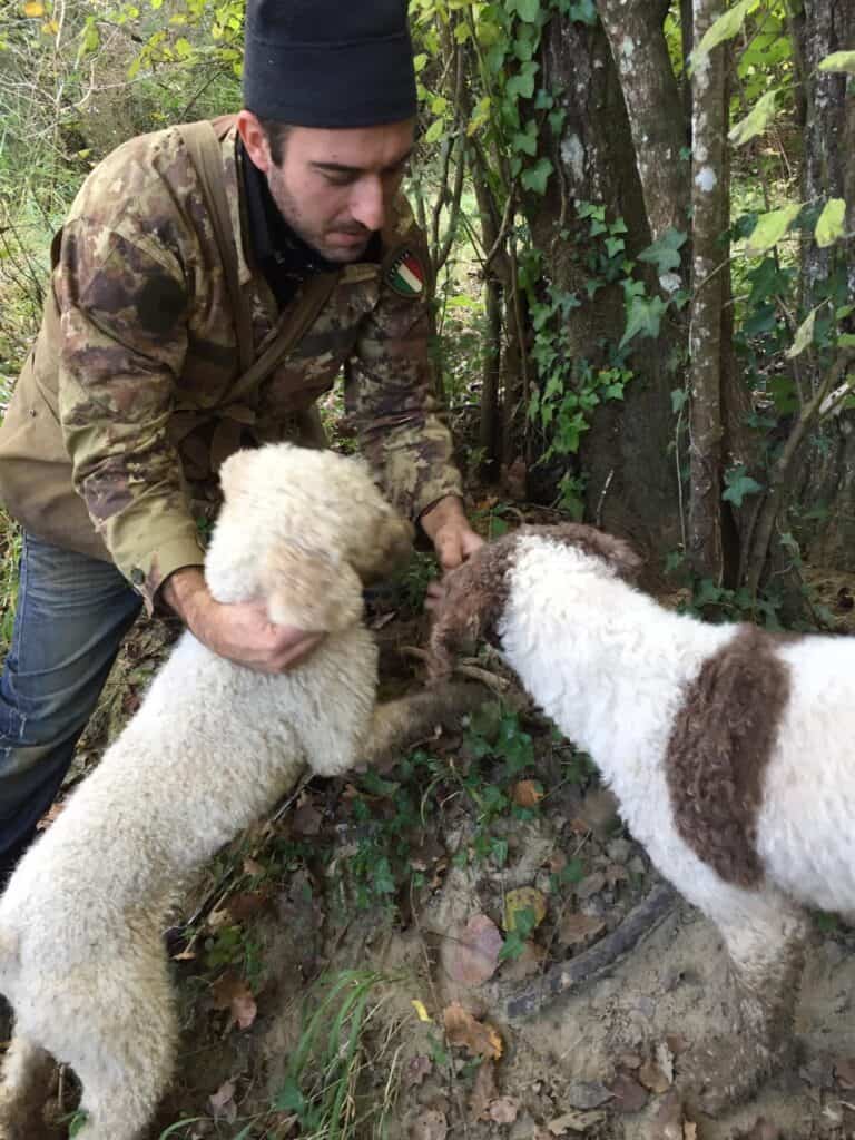 Truffle Hunting Montalcino Wine Tours