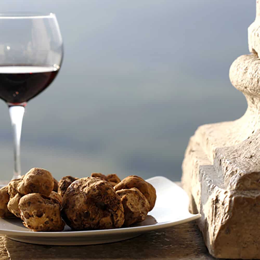 Truffle Hunting and Brunello Wine Tour