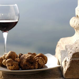 Truffle Hunting & Brunello Wine Tour