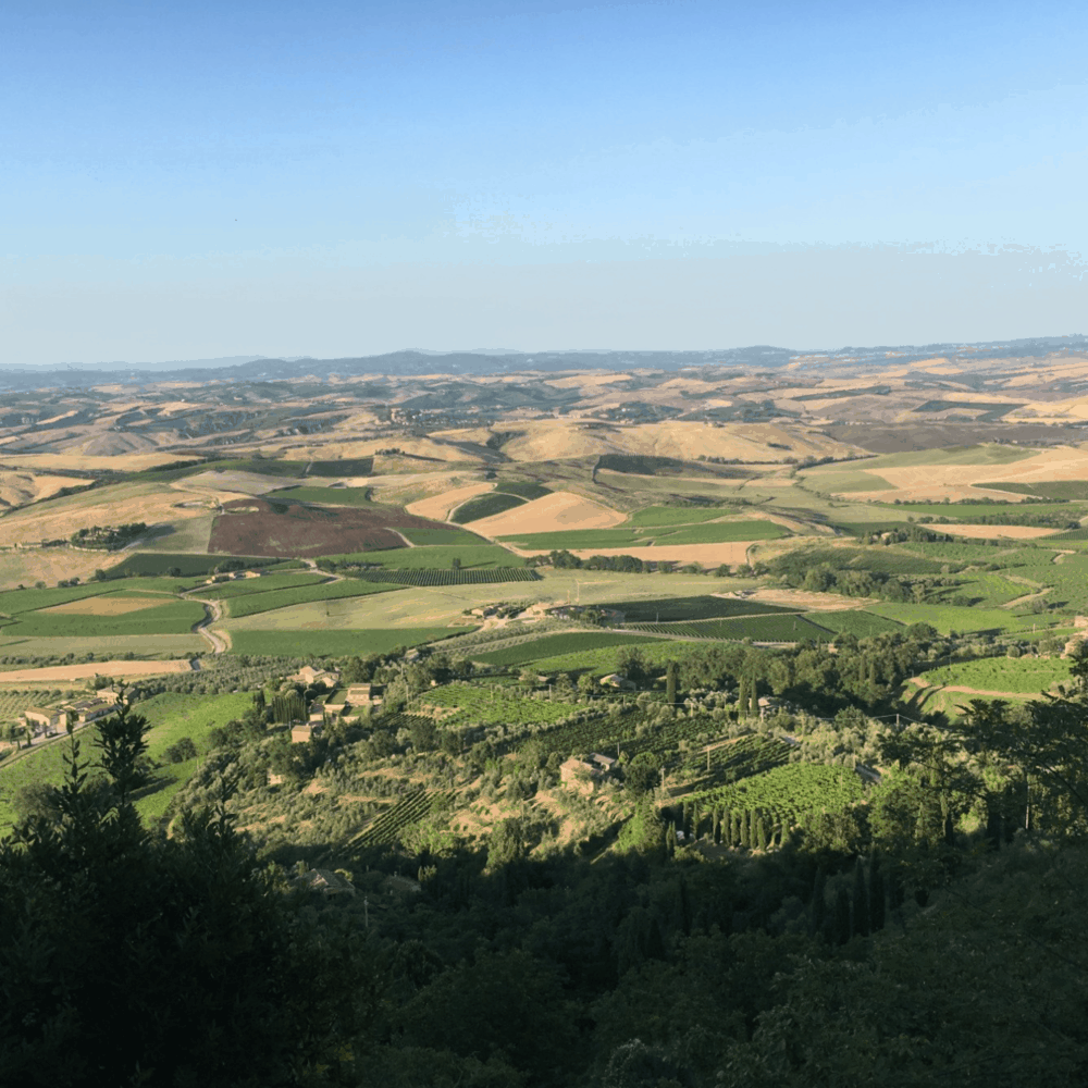 The Val d'Orcia seen from Montalcino