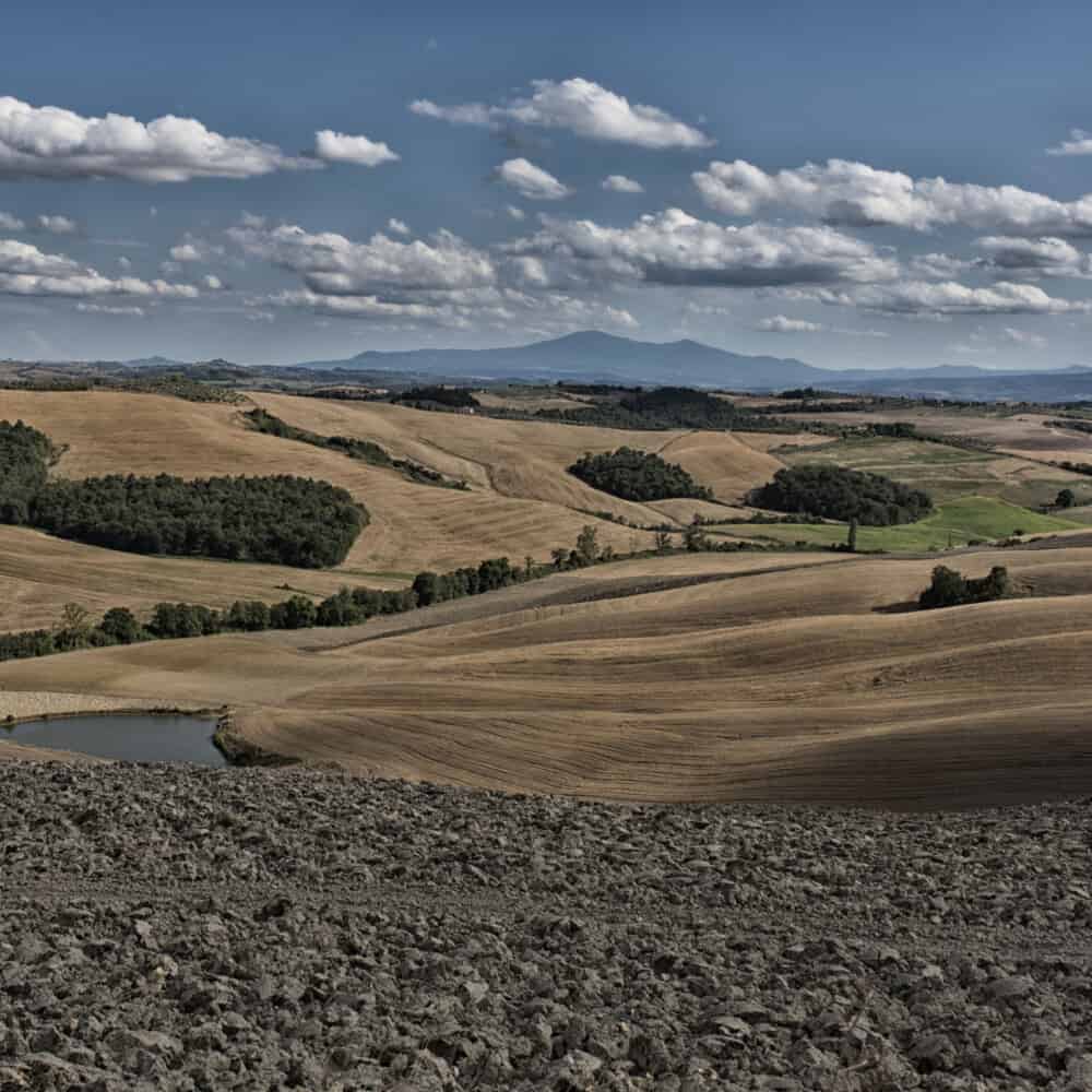 Rolling Tuscan hills in Val d'Orcia tour