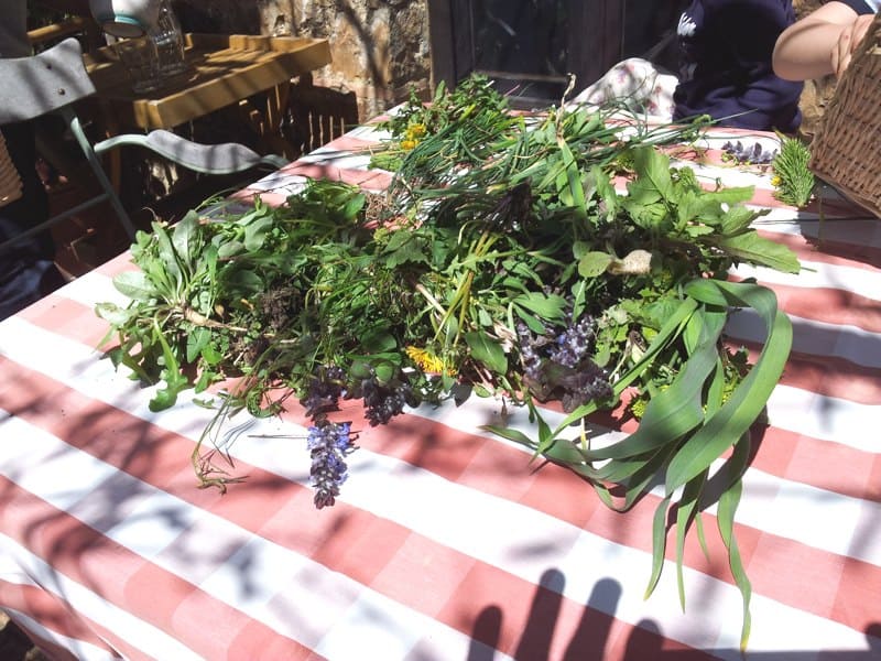 tuscan edible wild herbs and flowers