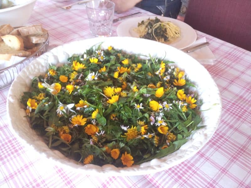 plate of edible tuscan wild herbs and flowers