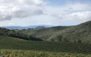 montalcino wine tour from florence