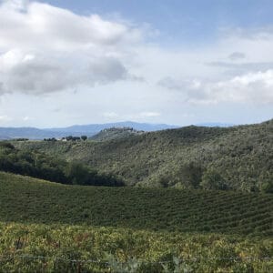 Brunello di Montalcino short hiking tour