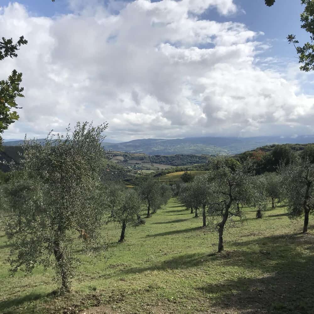 Brunello di Montalcino hiking trails wine tour