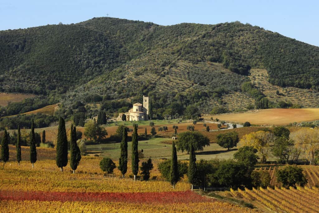 The Top 3 Hiking Trails Around Montalcino 3 Sant'Antino, Montalcino, Tuscany