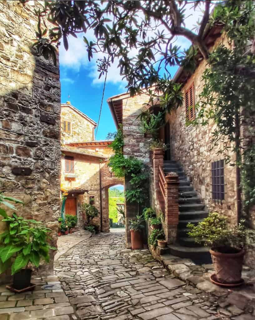 Chianti 3 Chianti - Montalcino Wine Tours