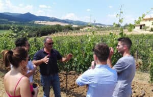 wine tasting tours italy