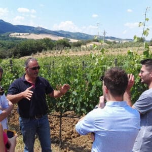 Brunello Wine Tour