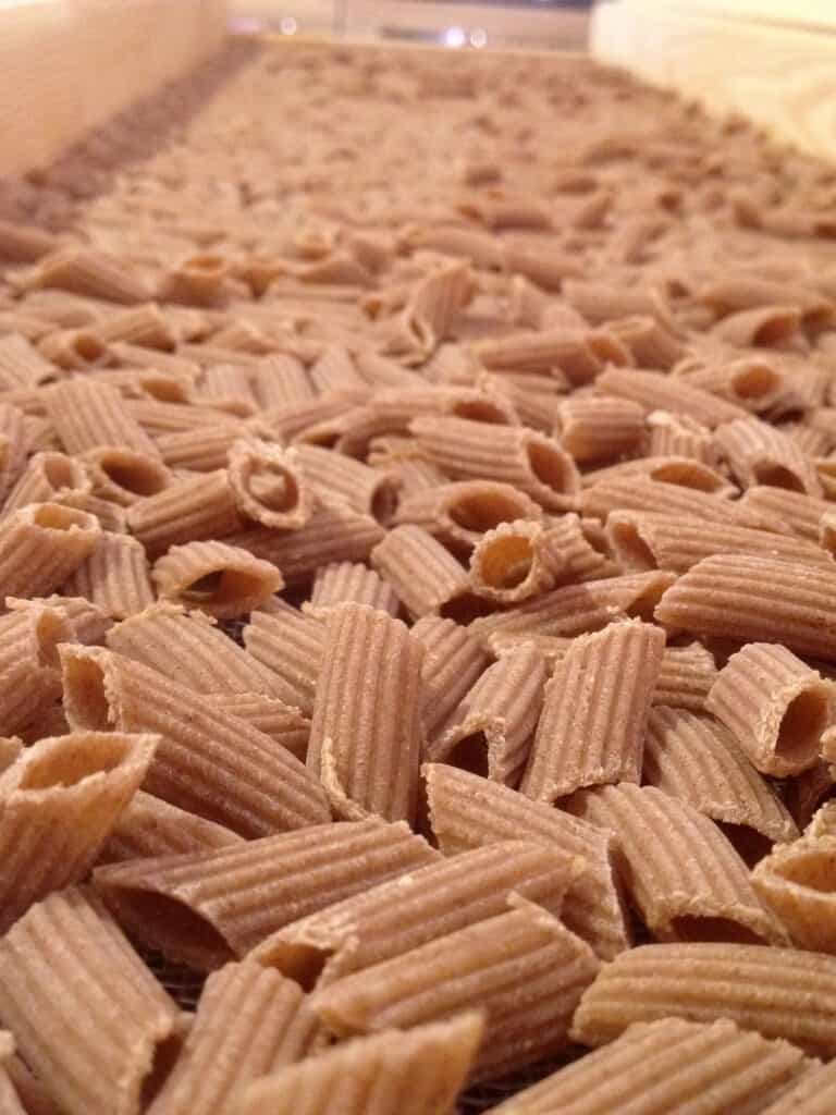Bread and Pasta 2 Montalcino Pasta