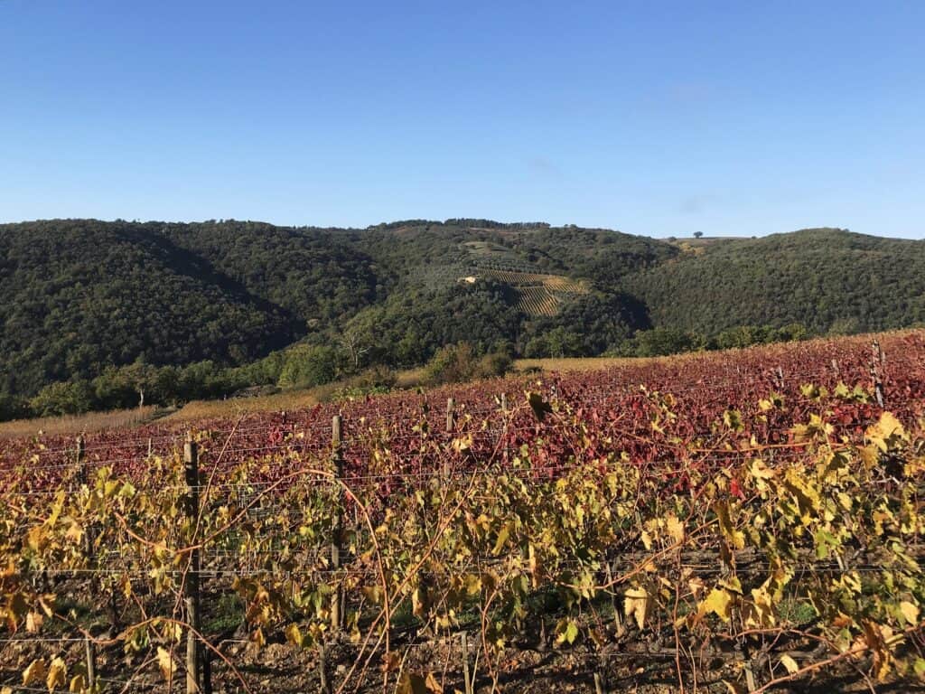 The Top 3 Hiking Trails Around Montalcino - Montalcino Wine Tours