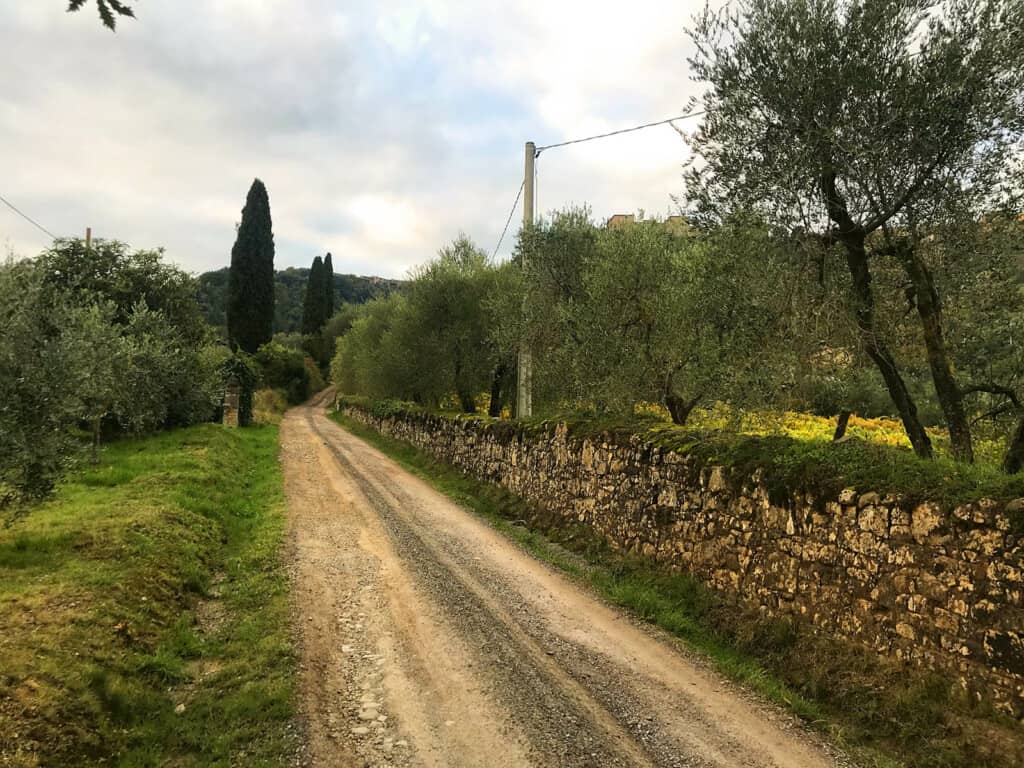 The Top 3 Hiking Trails Around Montalcino