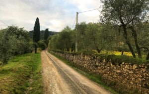 The Top 3 Hiking Trails Around Montalcino