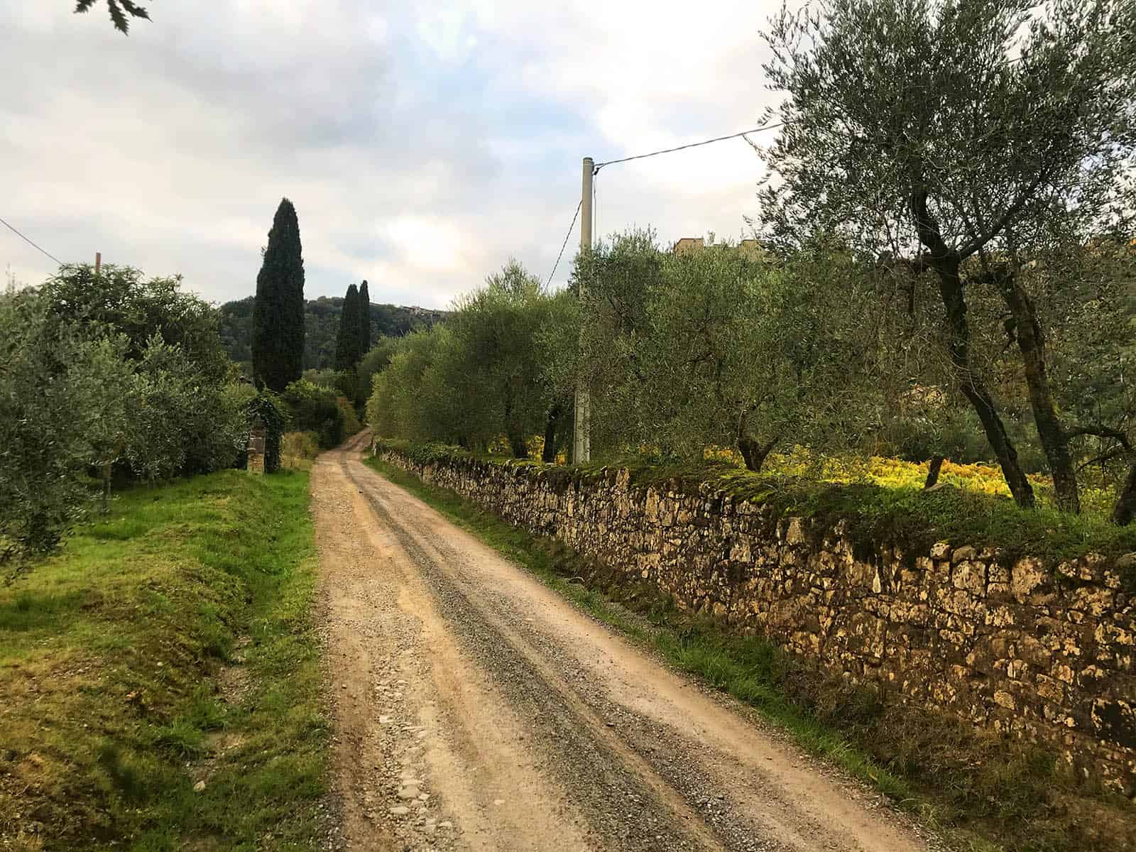 Montalcino Hiking Trails