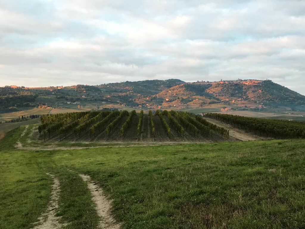 The Top 3 Hiking Trails Around Montalcino 5 Montalcino Hiking Trails