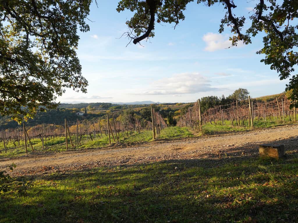 The Top 3 Hiking Trails Around Montalcino 7 The Top 3 Hiking Trails Around Montalcino - Montalcino Wine Tours