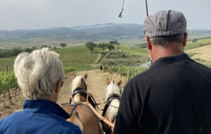 riding wine tour