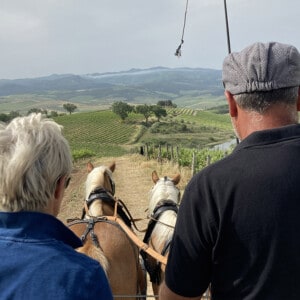 Horse Drawn Carriage Brunello Wine Tour