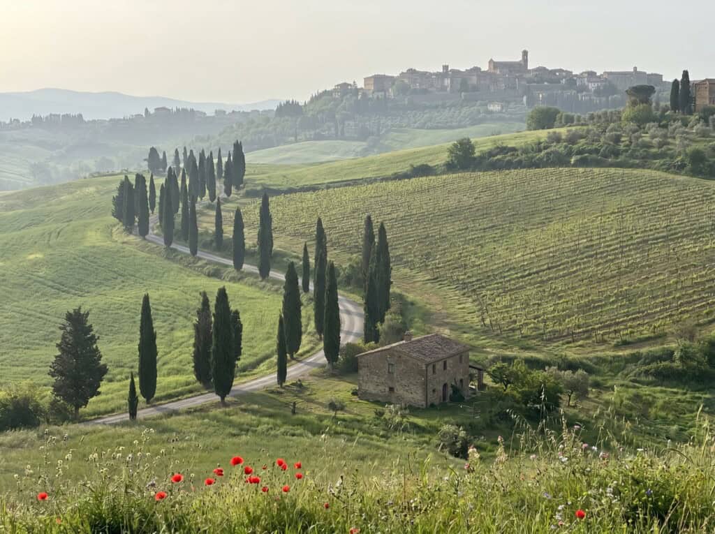 Brunello di Montalcino 2021 Has Arrived: Why This Spring Is the Perfect Time to Visit