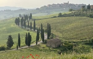 Brunello di Montalcino 2021 Has Arrived: Why This Spring Is the Perfect Time to Visit