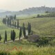 Brunello di Montalcino 2021 Has Arrived: Why This Spring Is the Perfect Time to Visit