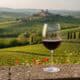 Brunello di Montalcino 2021 Has Arrived: Why This Spring Is the Perfect Time to Visit
