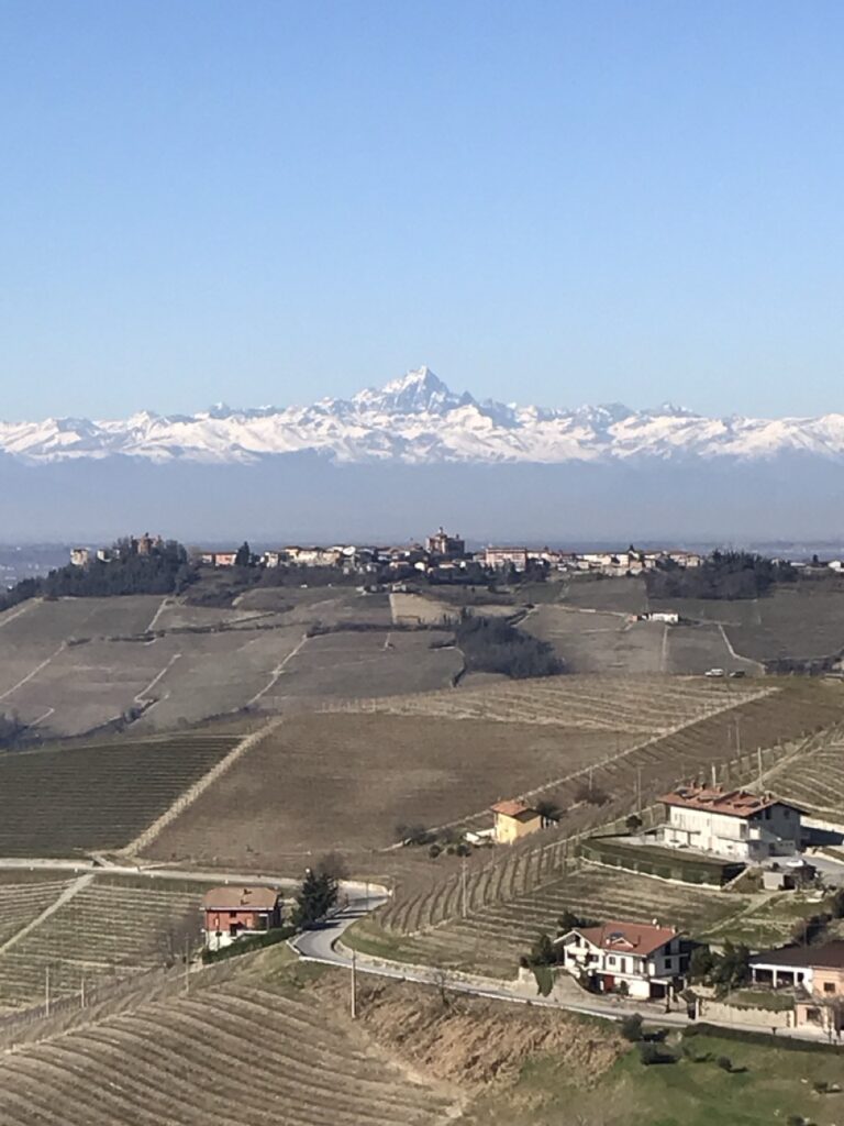 Barolo or Brunello? - Montalcino Wine Tours